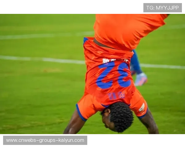 奥地利战术执行力极强，成为预选赛最大搅局者之一