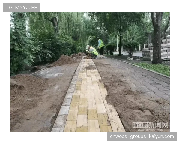 球场无障碍导览与志愿者岗位职责清单发布，无障碍设施宣传